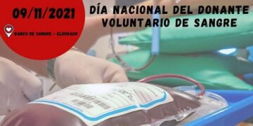 9 de noviembre: Día del Donante de Sangre, doná vida, solicitá tu turno para donar