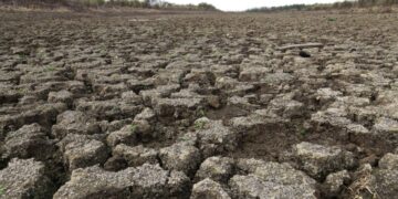 Según la OMS, los últimos siete años serán, probablemente, los más cálidos registrados en la historia