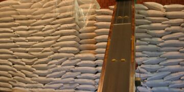 A pesar de la pandemia, se mantienen las exportaciones de yerba mate argentina