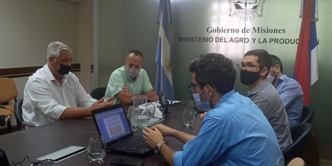 Exitosa convocatoria de acceso a los créditos para mini Pymes foresto industriales
