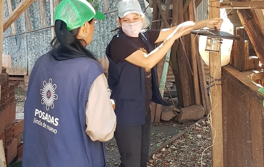 Intensifican los controles vectoriales para prevenir leishmaniasis en Posadas