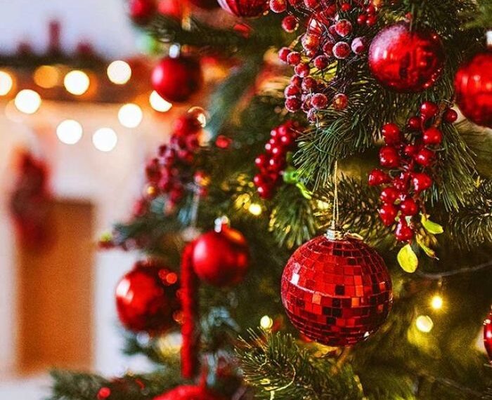 Por qué se arma el arbolito de Navidad este 8 de diciembre
