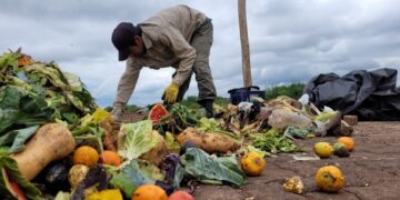 Posadas Sustentable: La recolección diferenciada se extiende a las Ferias Francas