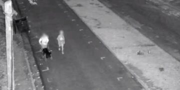 Dos detenidos por el robo de una batería de máquina vial