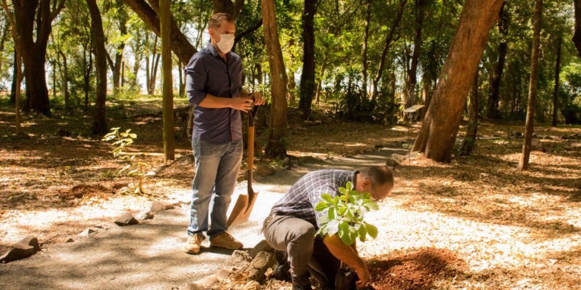 Lanzaron “Posadas se planta”, el programa de forestación participativa del arbolado urbano
