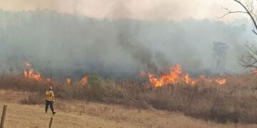 Posadas: nueva línea telefónica para denuncias por focos de incendios