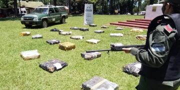 Incautan cerca de media tonelada de marihuana en Wanda