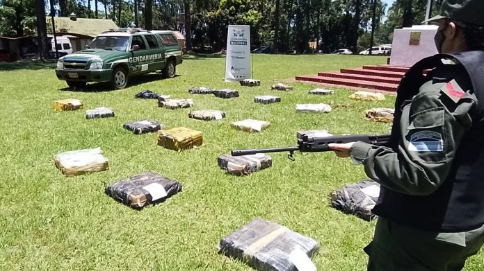 Incautan cerca de media tonelada de marihuana en Wanda