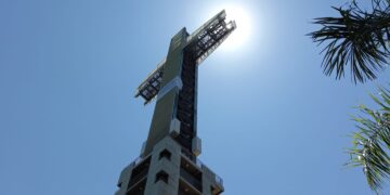 “Micorhizes”, arte conceptual en el Parque de la Cruz