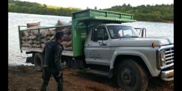 Prefectura secuestró 8 toneladas de granos de maíz en Misiones