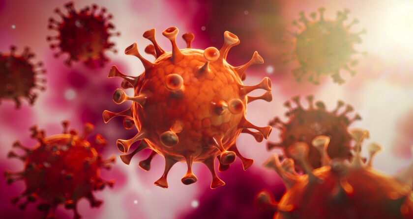 Coronavirus: Misiones registra por primera vez casos de variante Delta