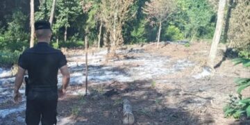 Campo Grande: detuvieron a un hombre denunciado por quemar el terreno del vecino