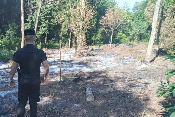 Campo Grande: detuvieron a un hombre denunciado por quemar el terreno del vecino