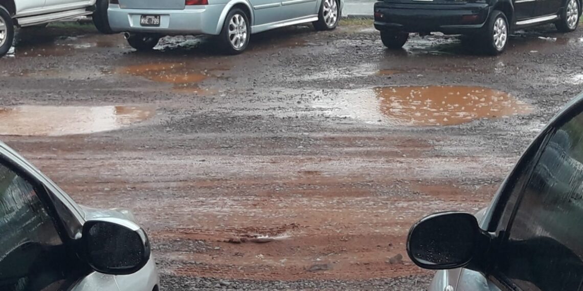 La lluvia alivia a distintas localidades de Misiones afectadas por la sequía y los incendios