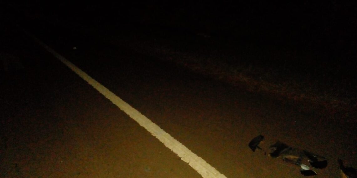 San Vicente: un joven falleció en la ruta tras ser embestido por un auto
