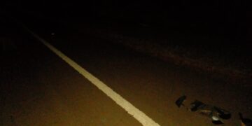 San Vicente: un joven falleció en la ruta tras ser embestido por un auto