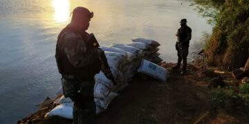 Incautaron más de ocho toneladas de soja y semillas de algodón en Alba Posse y El Soberbio
