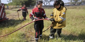 Misiones, Corrientes y Río Negro presentan focos activos de incendios forestales