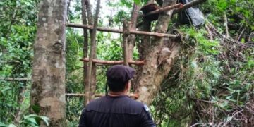Desmantelaron un campamento de cazadores furtivos en la reserva “Yaguaretaña”