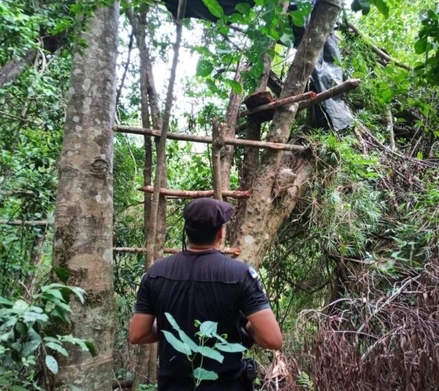 Desmantelaron un campamento de cazadores furtivos en la reserva “Yaguaretaña”