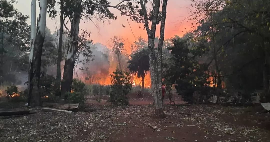 Continúa la lucha contra los incendios en la Provincia