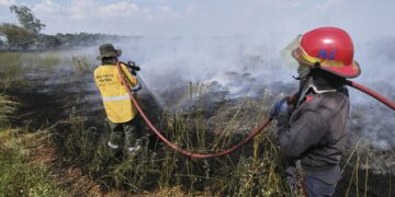 Homologarán la emergencia agropecuaria en zonas de Santa Fe, Misiones, Córdoba y Mendoza