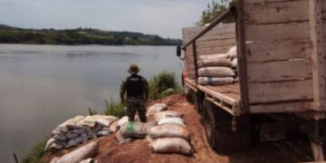 El Soberbio: incautan más de 7 toneladas de soja de contrabando