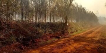 Sofocaron incendios en Jardín América y Puerto Rico