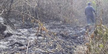 Sin tregua: continúa el combate contra incendios en toda la provincia