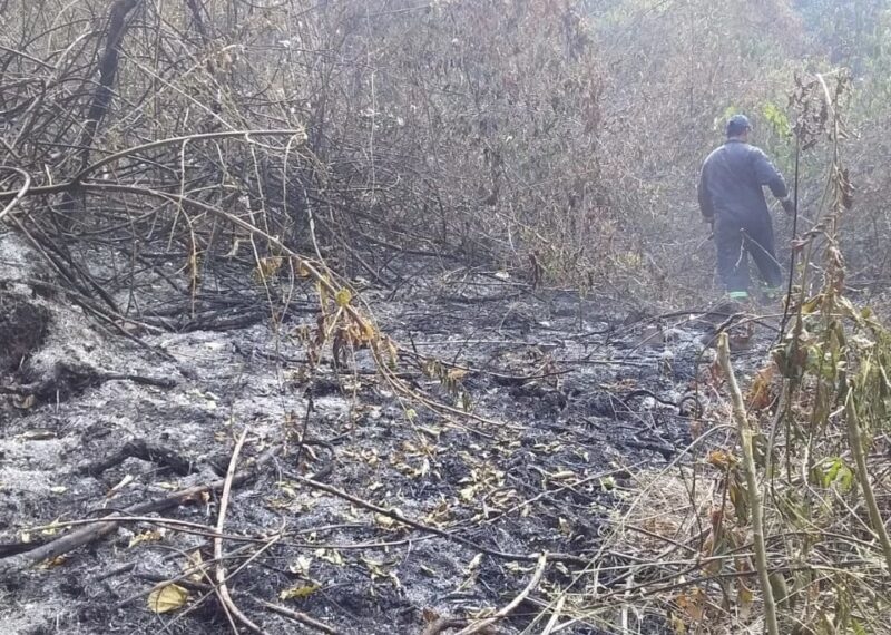 Sin tregua: continúa el combate contra incendios en toda la provincia