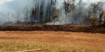 Incesante trabajo de los bomberos en el combate contra incendios en toda la provincia
