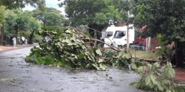 Varias localidades fueron afectadas por la tormenta de lluvia y granizo