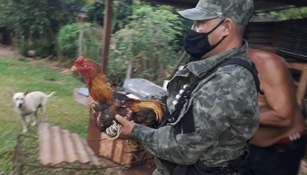 Criador de gallos de riña se resistió armado y con un niño como escudo