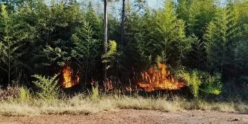 Continúa el combate de incendios en distintos puntos de la provincia