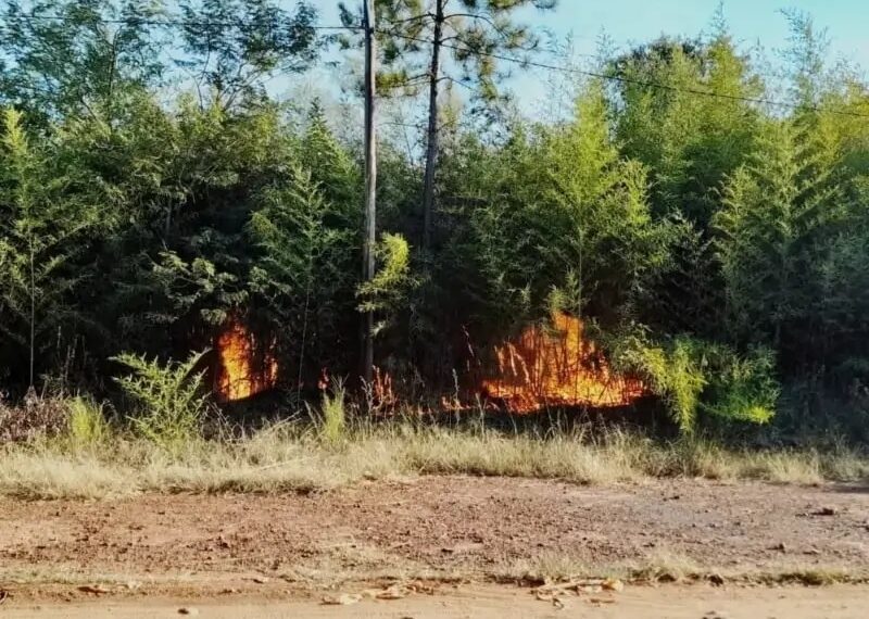 Continúa el combate de incendios en distintos puntos de la provincia