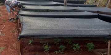 Entregaron insumos para el desarrollo de la agricultura familiar