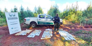 Hallan más de 88 kilos de marihuana ocultos entre la maleza