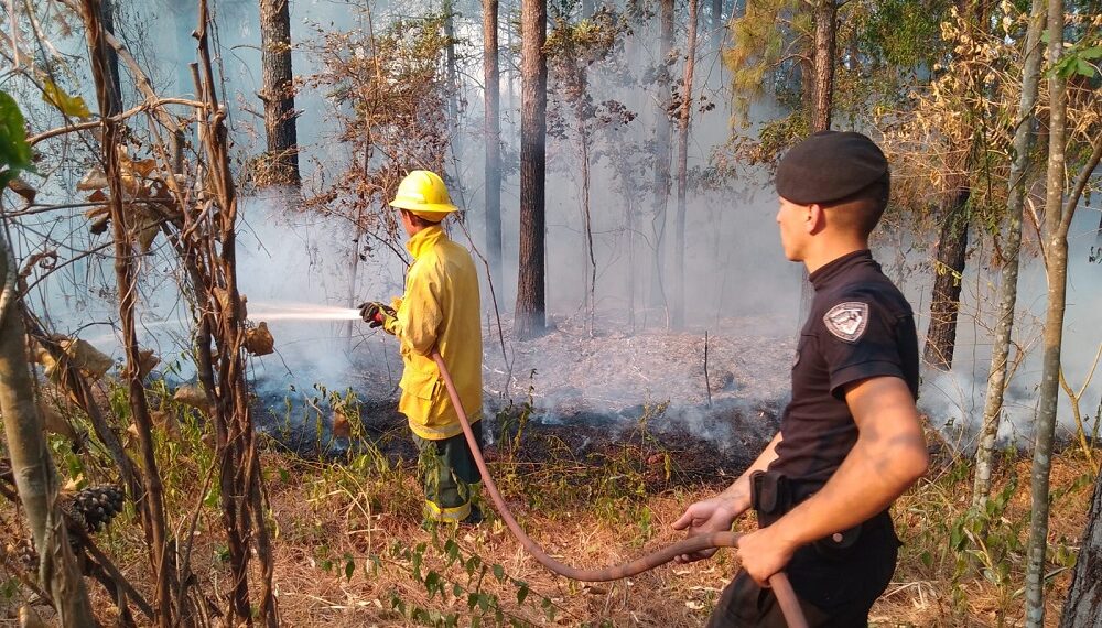 El fuego ya consumió más de 1.000 hectáreas en Salto Encantado