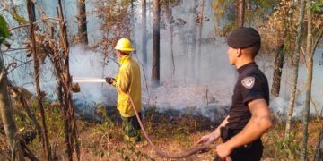 El fuego ya consumió más de 1.000 hectáreas en Salto Encantado