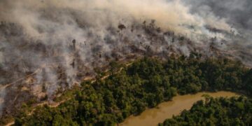 Los incendios forestales devastadores aumentarán para fin de siglo