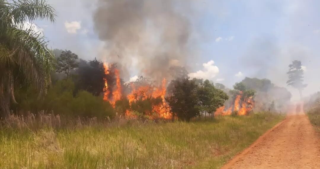 Nuevos incendios se registraron en la provincia y el riesgo es extremo