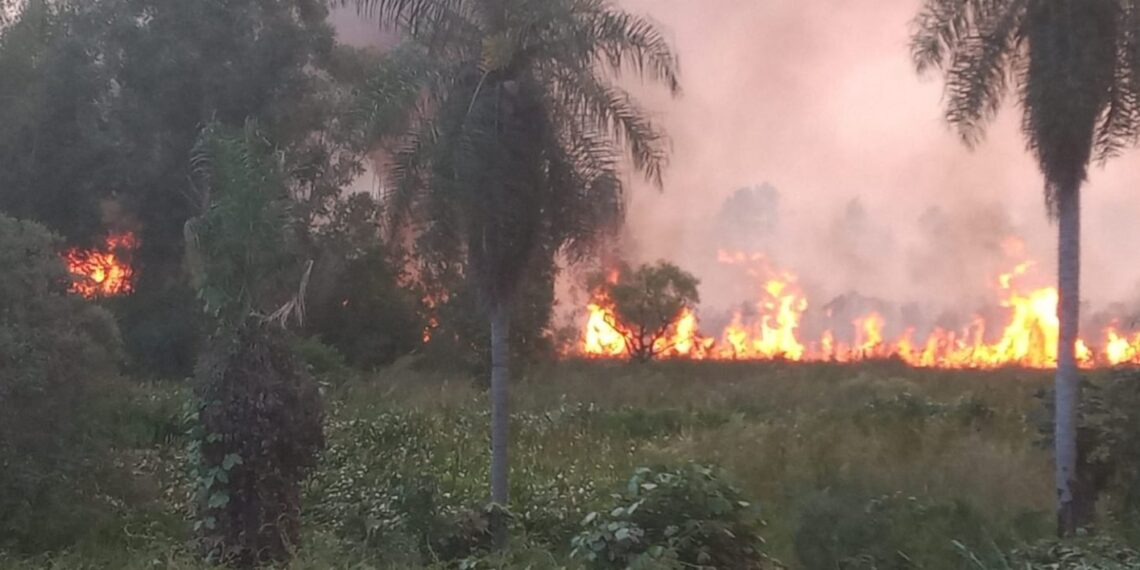 Evacuaron la estación de transferencia de Miguel Lanús en Posadas por un incendio
