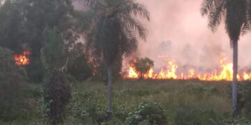 Evacuaron la estación de transferencia de Miguel Lanús en Posadas por un incendio