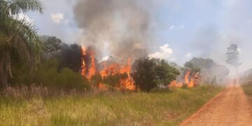 Nuevos incendios se registraron en la provincia y el riesgo es extremo