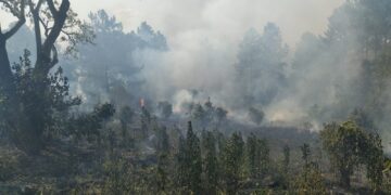 Nuevos incendios se registraron en las últimas horas en diferentes localidades