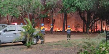 Corrientes: Ituzaingó azotada por los incendios