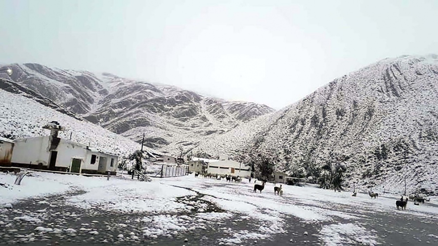 En pleno verano, el pueblo jujeño de Santa Catalina amaneció bajo un manto de nieve