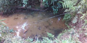 El Soberbio: falleció un hombre por una descarga eléctrica