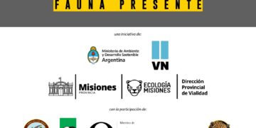“Ruta viva, fauna presente” la iniciativa de instituciones y organizaciones contra el atropellamiento animal