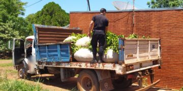 Campo Grande: interceptaron un camión con ponchadas de yerba mate robada